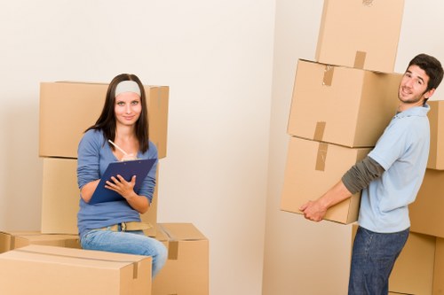 Professional man and van Brompton service transporting household items